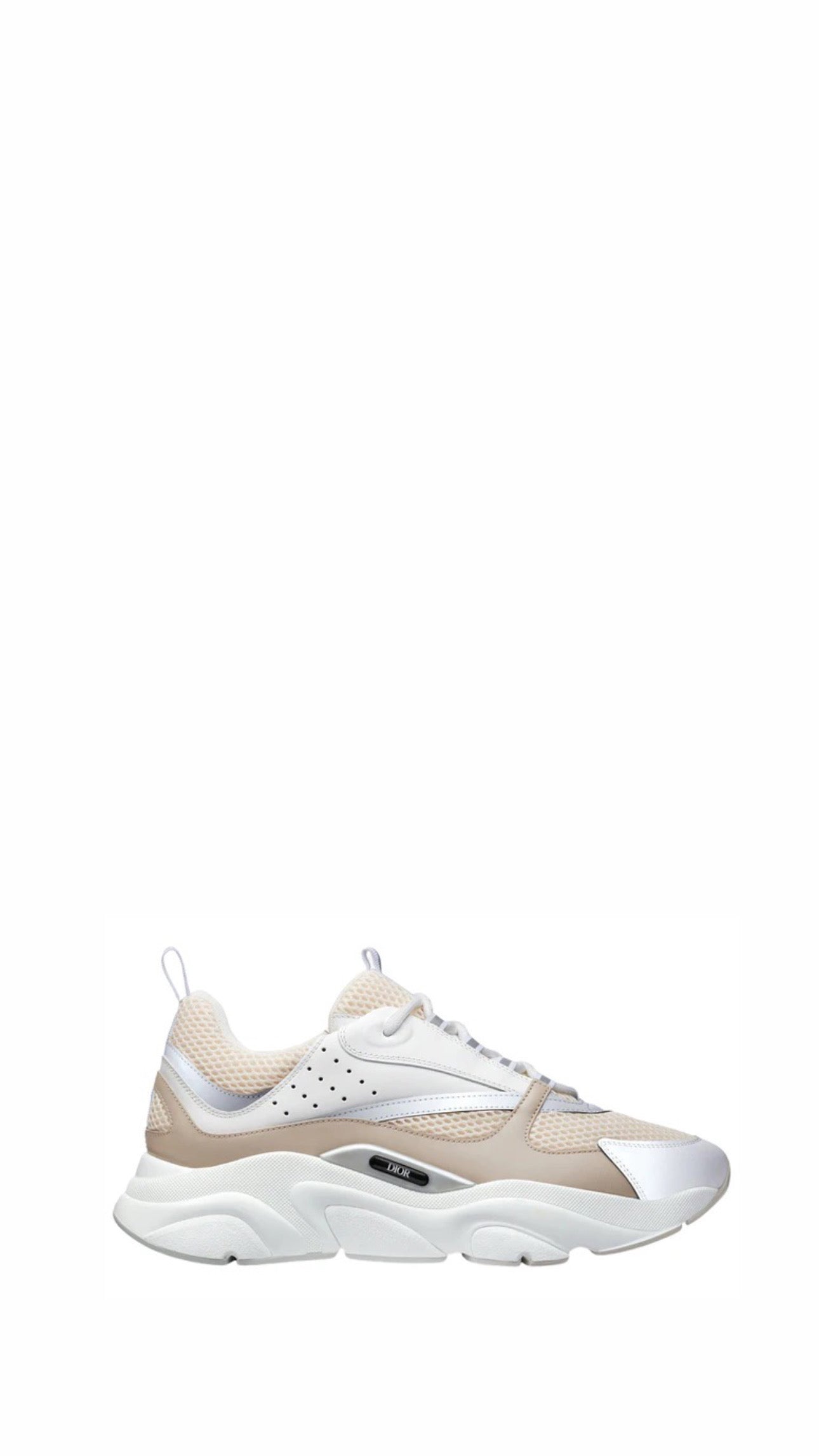DIOR B22